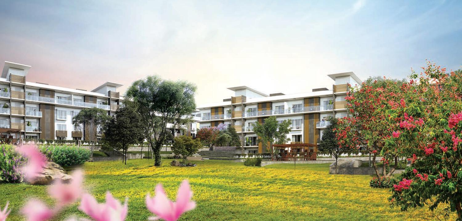 Birla Alokya