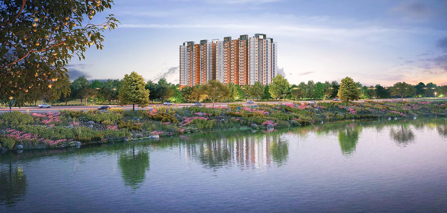 Provident Bayscape