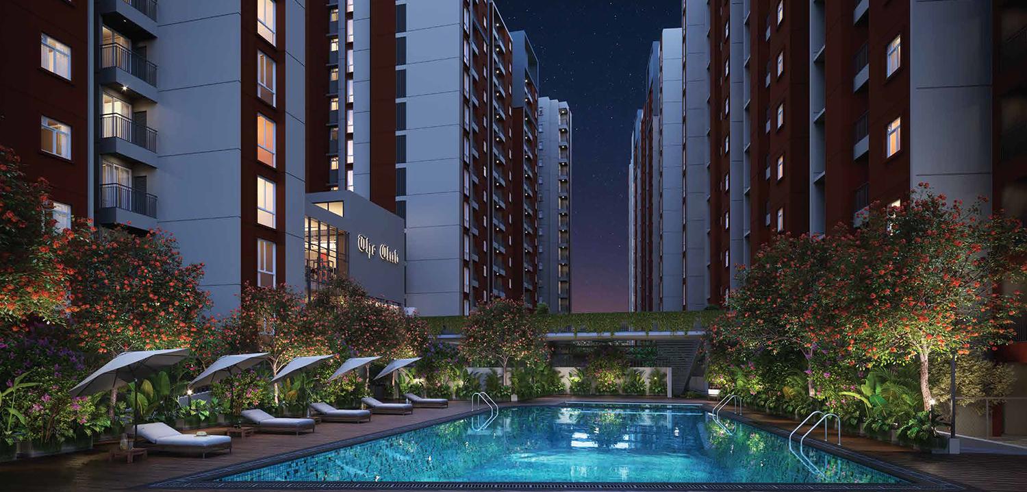 Provident Bayscape