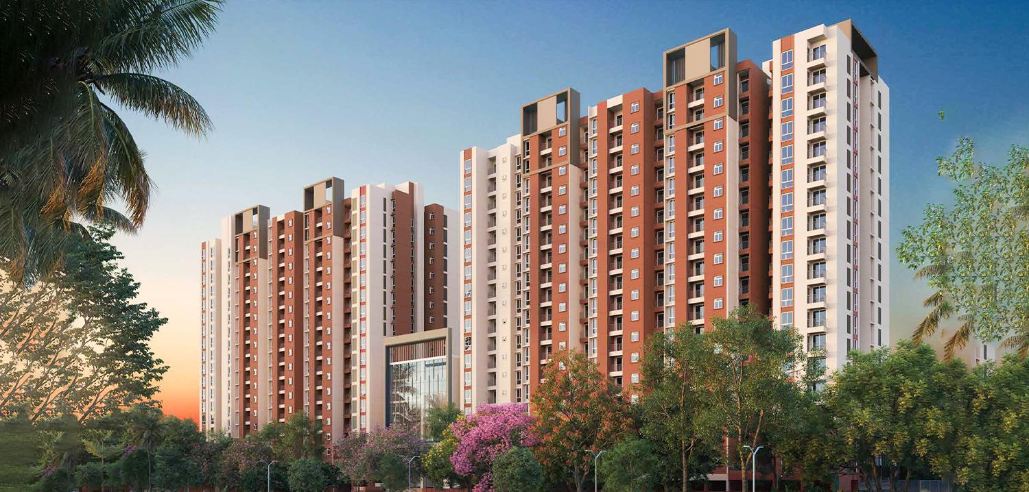 Provident Bayscape